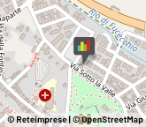 Amministrazioni Immobiliari,50054Firenze