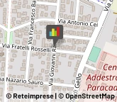Veterinaria - Articoli e Prodotti,56123Pisa