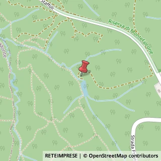 Mappa Via Delle Macchie, 1, 56022 Castelfranco di Sotto, Pisa (Toscana)