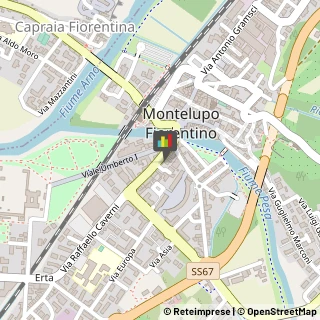 Elettrauto Montelupo Fiorentino,50056Firenze