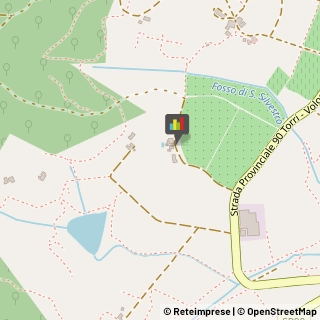 Aziende Agricole Rignano sull'Arno,50067Firenze