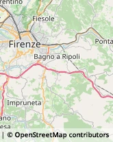 Ortofrutticoltura Fiesole,50014Firenze