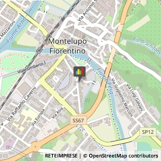 Importatori ed Esportatori Montelupo Fiorentino,50056Firenze