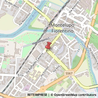 Mappa Viale Cento Fiori, 2, 50056 Montelupo Fiorentino, Firenze (Toscana)