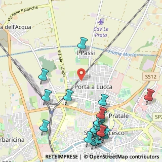 Mappa Via della Pura Alfredo, 56123 Pisa PI, Italia (1.487)
