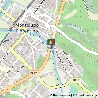 ,50056Firenze