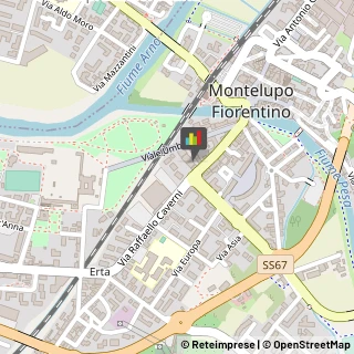 ,50056Firenze