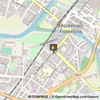 ,50056Firenze