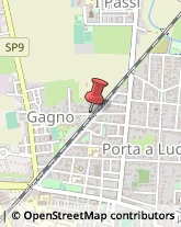 Via di Gagno, 28,56123Pisa