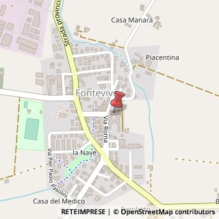 Mappa Via Roma, 38, 43010 Fontevivo, Parma (Emilia Romagna)