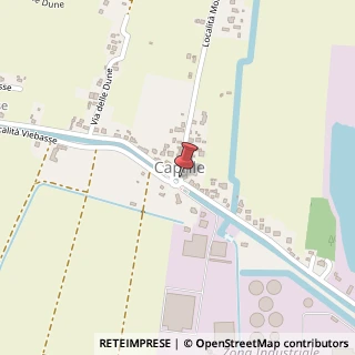 Mappa Via caprile centro 36, 44021 Codigoro, Ferrara (Emilia Romagna)