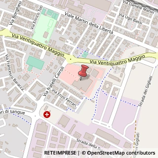 Mappa Via Giavazzoli, 1, 43036 Fidenza, Parma (Emilia Romagna)