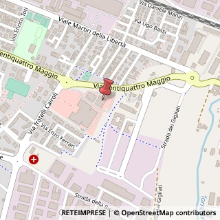 Mappa Via XXIV Maggio, 28, 43036 Fidenza, Parma (Emilia Romagna)