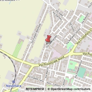Mappa Via Leningrado, 22, 42017 Novellara, Reggio nell'Emilia (Emilia Romagna)