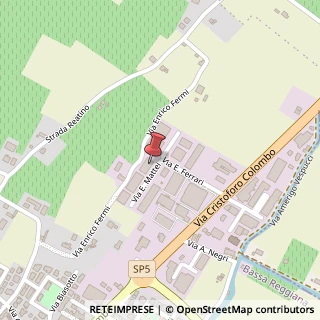 Mappa Via Enrico Mattei, 14, 42017 Novellara, Reggio nell'Emilia (Emilia Romagna)