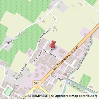 Mappa Via E. Ferrari, 8/10, 42017 Novellara, Reggio nell'Emilia (Emilia Romagna)