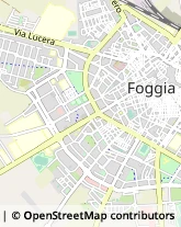 Commercialisti,71122Foggia