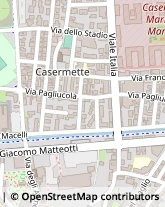 Viale Italia, 23,51100Pistoia