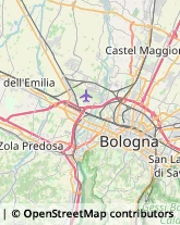 Via Goito, 6/B,40126Bologna