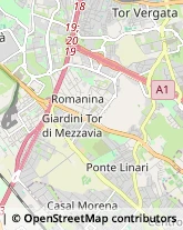 Via Vincenzo Manzini, 135,00173Roma