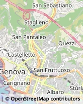 Giardinaggio - Servizio,16122Genova