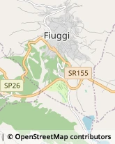 Via Prenestina, n. 135,03014Fiuggi