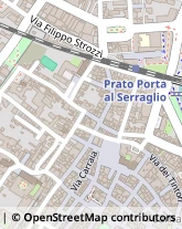 Via del Serraglio, 8,59100Prato