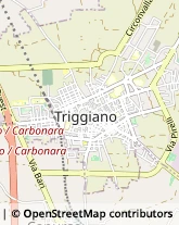 Via Carroccio, 22,70019Triggiano