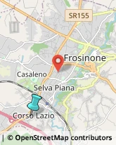 Palestre e Centri Fitness,03100Frosinone