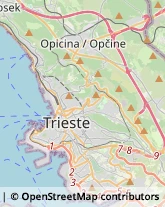 Viale Miramare, 123/1,34126Trieste