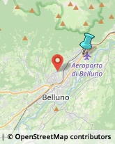 Trasporto Pubblico,32100Belluno