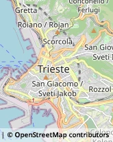 Sartorie,34121Trieste