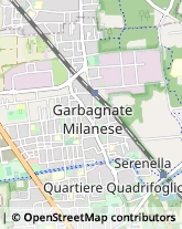 Via Alessandro Manzoni, 19/B,20024Garbagnate Milanese