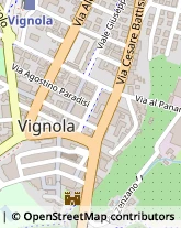 Via G. Mazzini, 2,41058Vignola