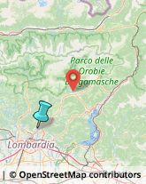 Articoli Sportivi - Dettaglio,24025Bergamo