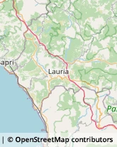 Assicurazioni,85046Potenza