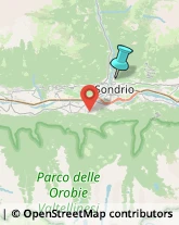 Aziende Agricole,23100Sondrio