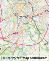 Viale Dei Quattro Venti, 250,00152Roma