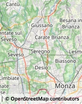 Aceto,20833Monza e Brianza