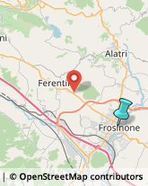 Assicurazioni,03100Frosinone