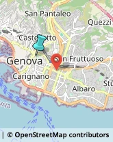 Feste - Organizzazione e Servizi,16100Genova