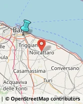 Agenzie di Animazione e Spettacolo,70125Bari