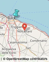 Agenzie di Animazione e Spettacolo,70126Bari