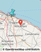 Agenzie di Animazione e Spettacolo,70125Bari