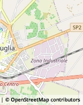 Via Antonio Labriola, 6,70037Ruvo di Puglia