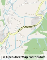 Via di Santomoro, 100,51100Pistoia