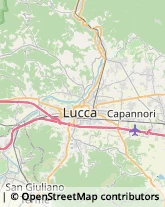 Comuni e Servizi Comunali,55100Lucca