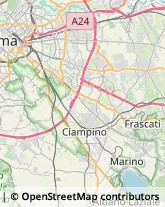 Via Nettunense, 71/A,00047Marino