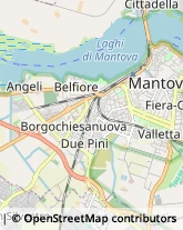 Dietologia - Medici Specialisti,46100Mantova