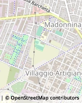 Via Giuseppe Zarlati, 13,41126Modena